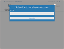 Tablet Screenshot of pangulfvalves.com